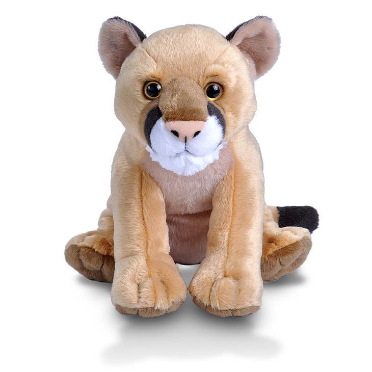 Ck Mountain Lion