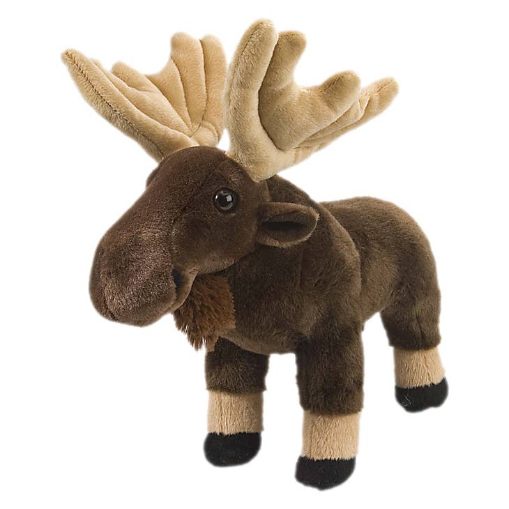 Ck Moose Standing