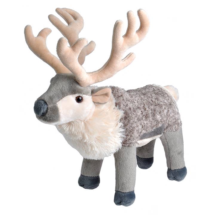 Ck Reindeer