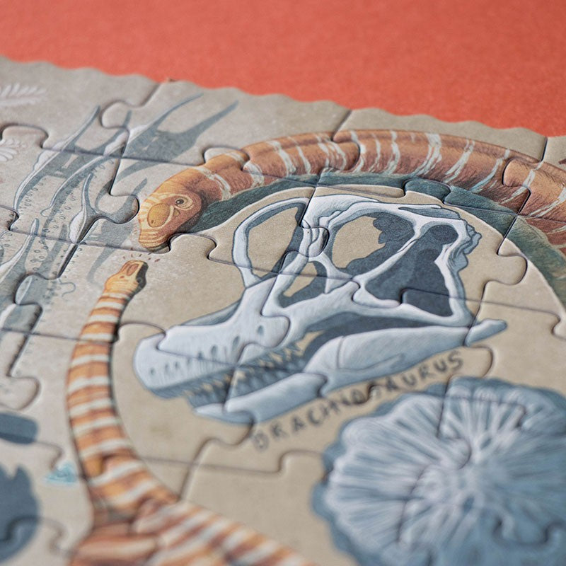 Dinos Explorer Puzzle