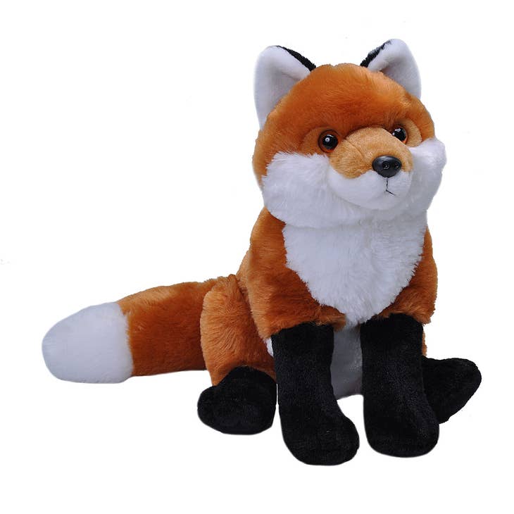 Ck Red Fox