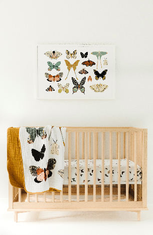Butterfly Collector Quilt