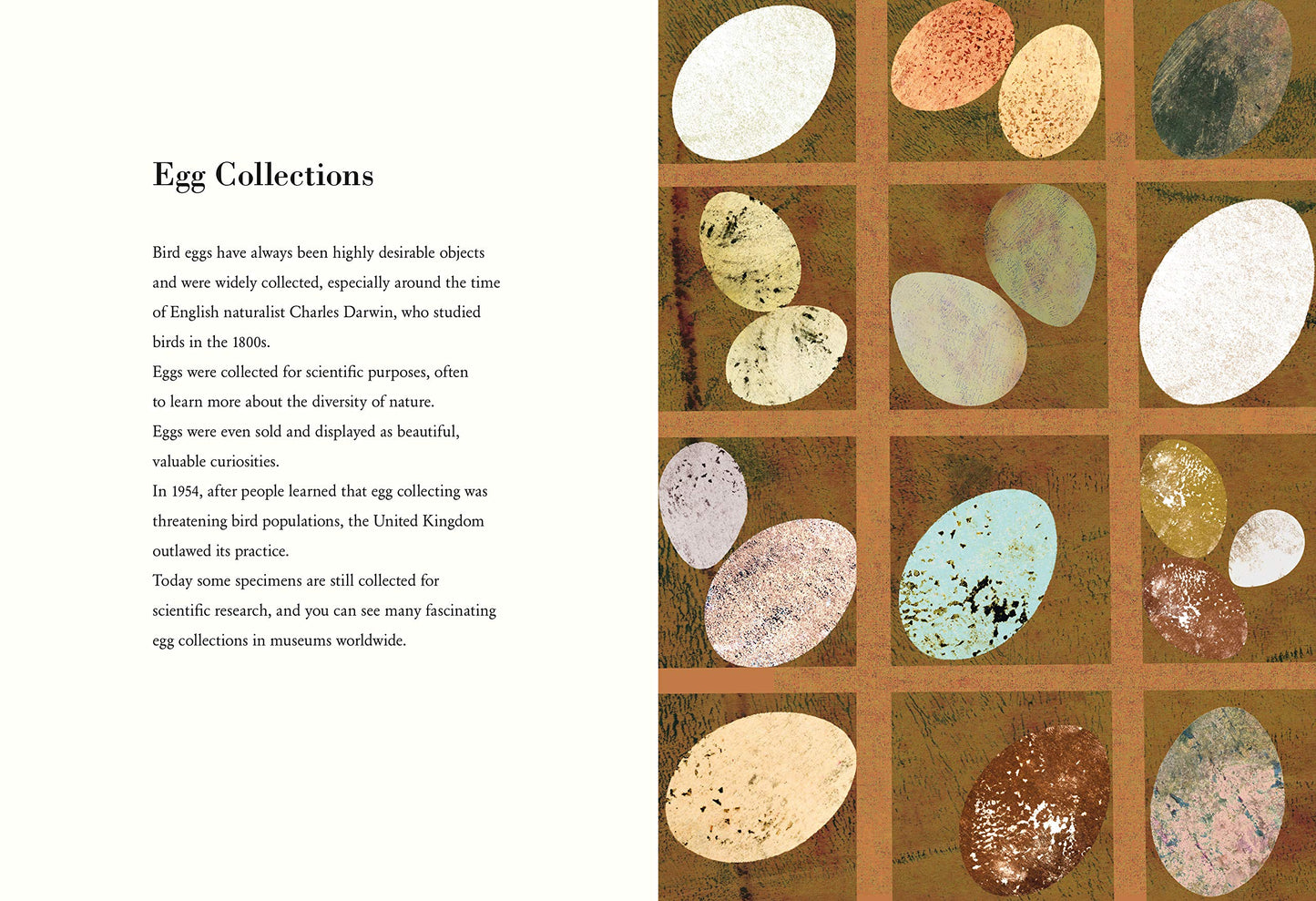 The Egg Book