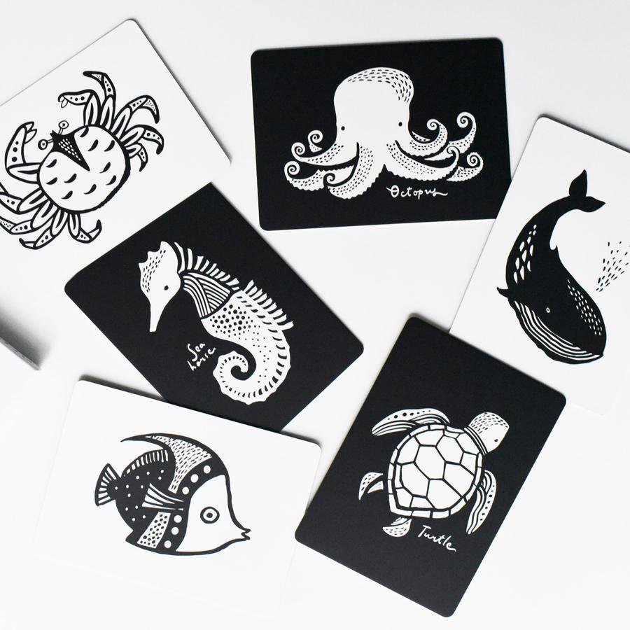 black and white ocean animal flashcards