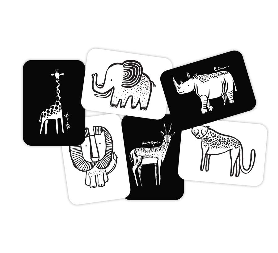 black and white safari animal flashcards